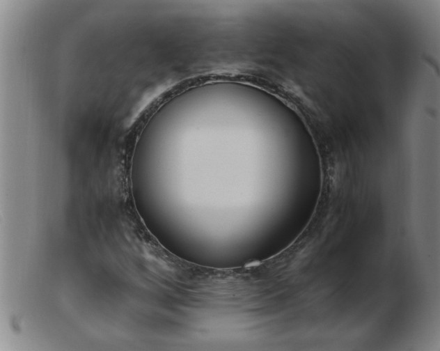 X0000103501256200809191937