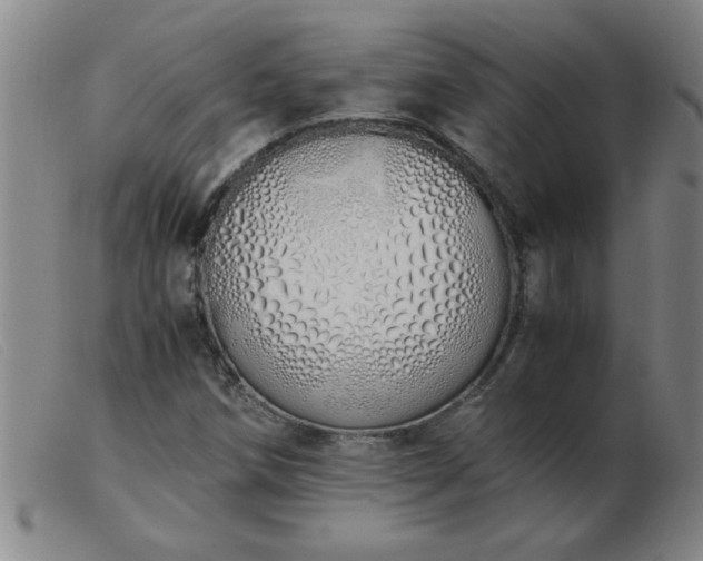 X0000103501258200809191937