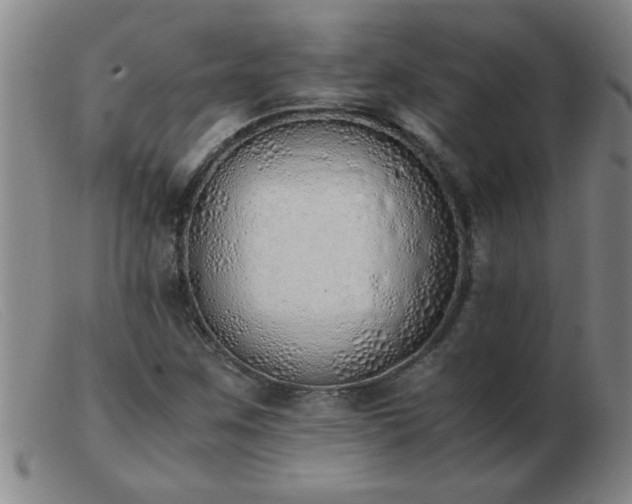 X0000103501259200809191937