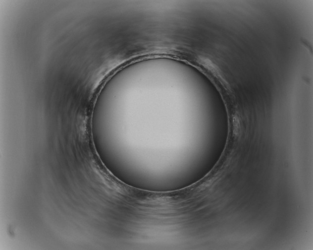 X0000103501260200809191937