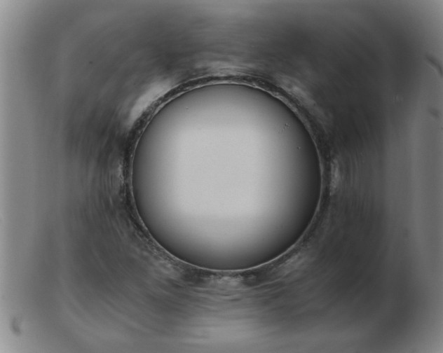 X0000103501261200809191937