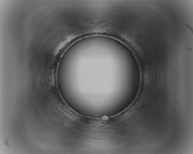 X0000103501262200809191937