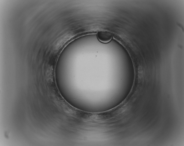 X0000103501265200809191937