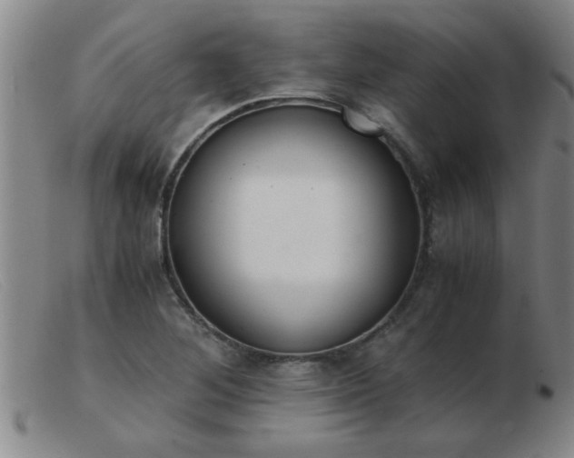 X0000103501268200809191937