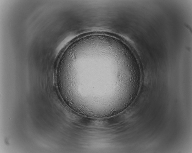 X0000103501271200809191937