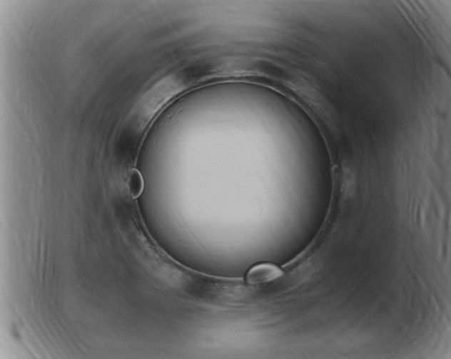 X0000103501273200809191937