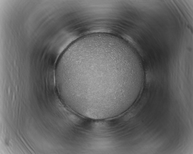 X0000103501274200809191937