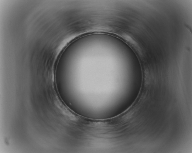 X0000103501280200809191937