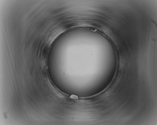 X0000103501281200809191937