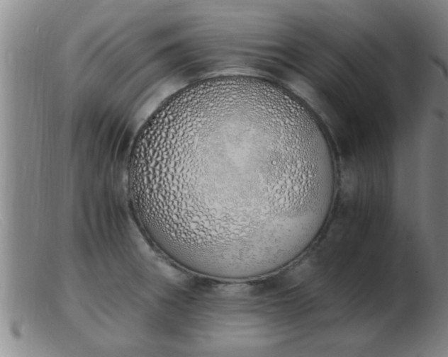 X0000103501282200809191937