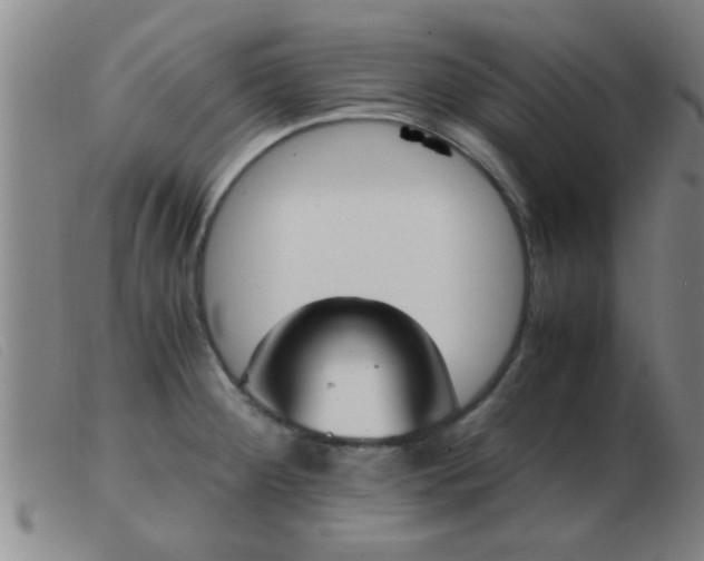 X0000103501284200809191937