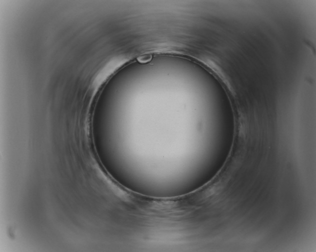 X0000103501285200809191937