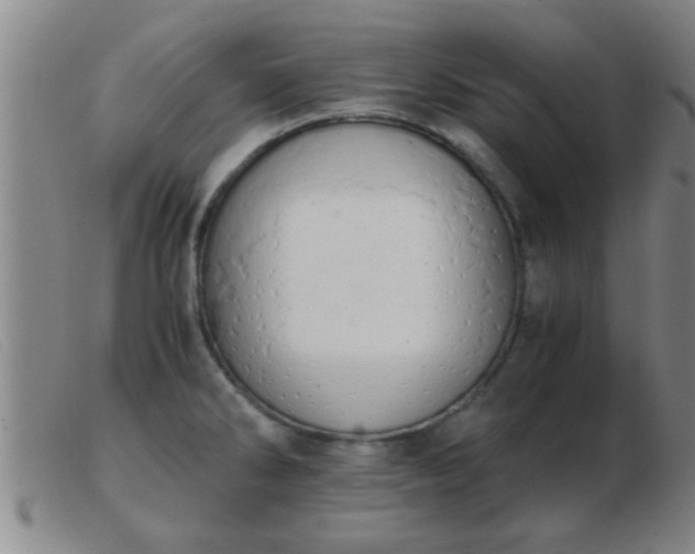 X0000103501286200809191937