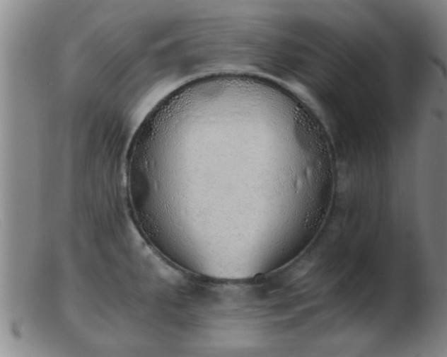 X0000103501287200809191937