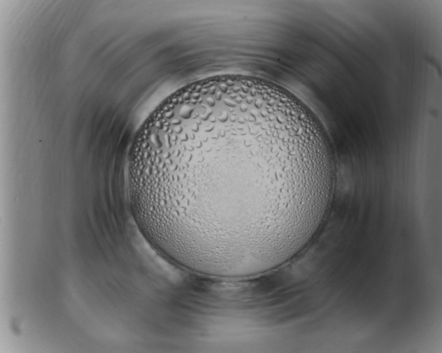 X0000103501290200809191937