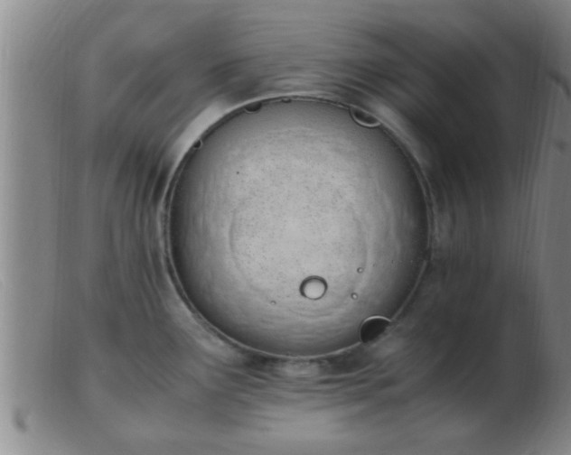 X0000103501291200809191937