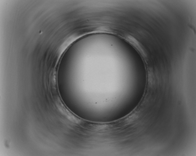 X0000103501292200809191937