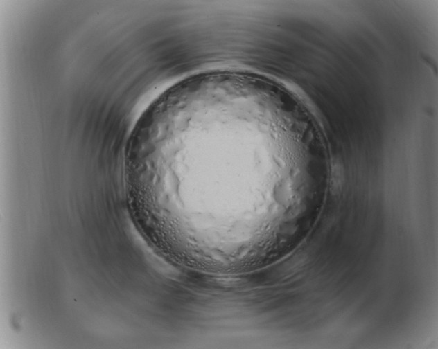 X0000103501295200809191937