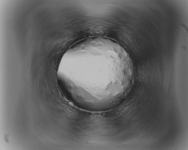 X0000103501297200809191936