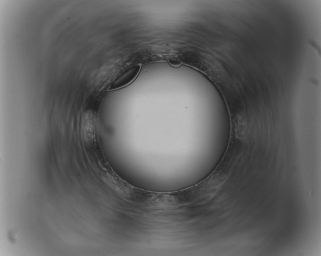 X0000103501298200809191936