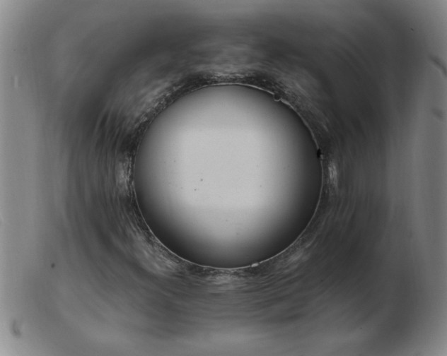 X0000103501300200809191936