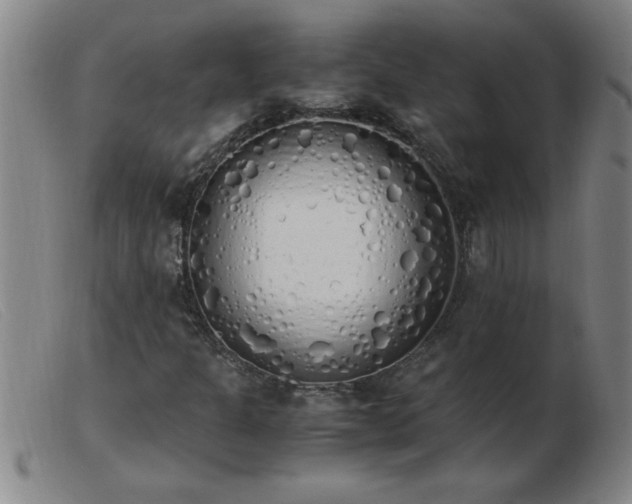 X0000103501301200809191936