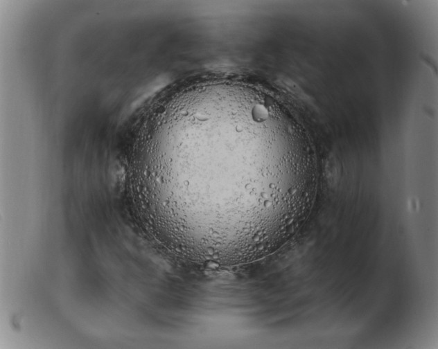 X0000103501302200809191936