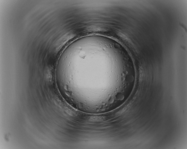 X0000103501305200809191936