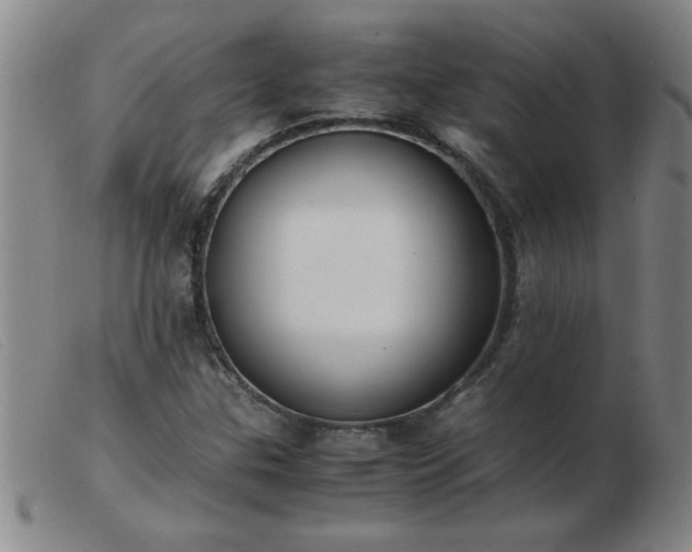 X0000103501307200809191936