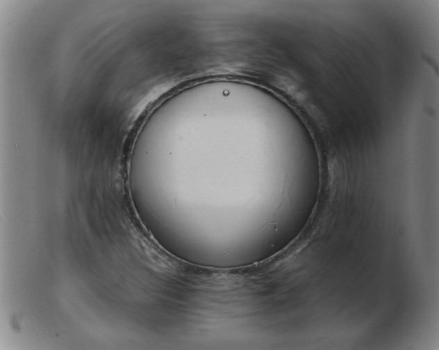 X0000103501308200809191936