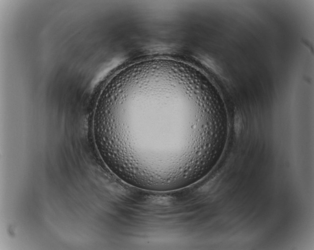 X0000103501309200809191936