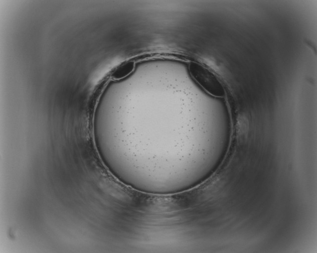 X0000103501310200809191936