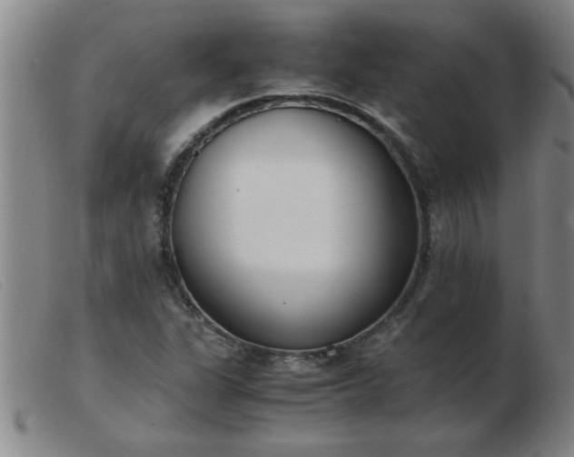 X0000103501311200809191936