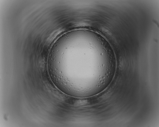 X0000103501313200809191936