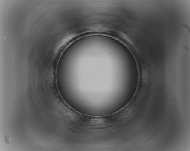 X0000103501315200809191936