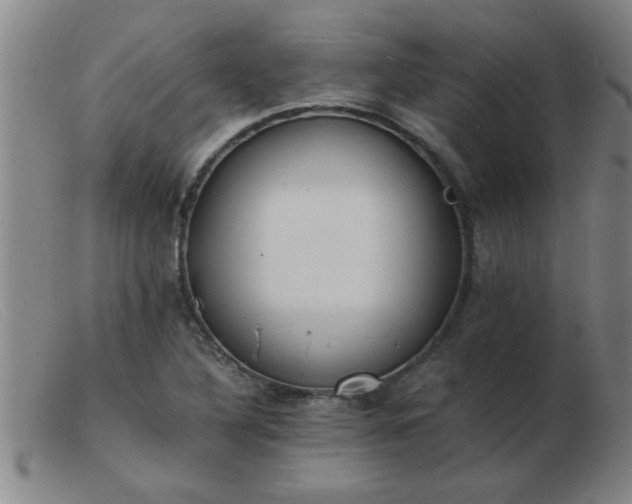 X0000103501316200809191936