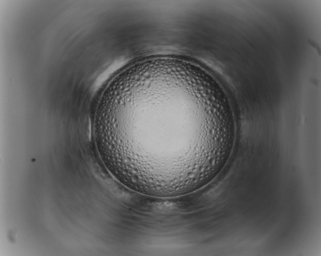 X0000103501317200809191936