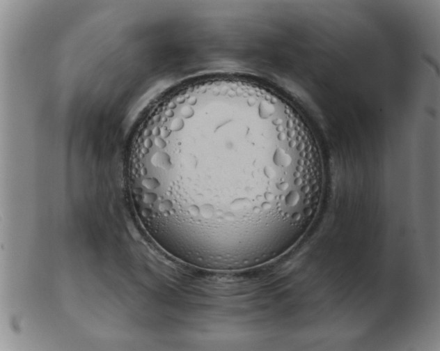 X0000103501318200809191936