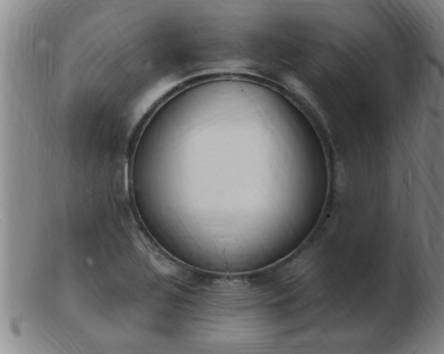 X0000103501320200809191936