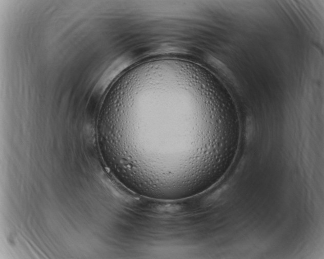 X0000103501321200809191936