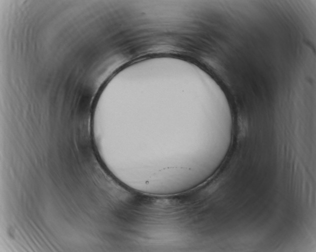 X0000103501322200809191936