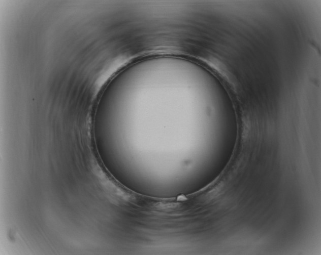 X0000103501325200809191936