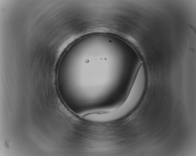 X0000103501326200809191936