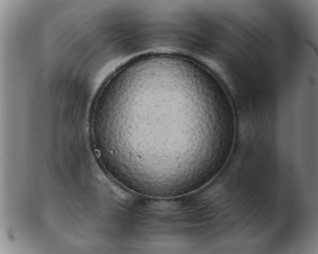 X0000103501327200809191936