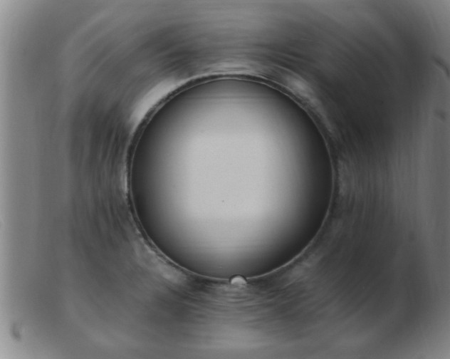 X0000103501328200809191936