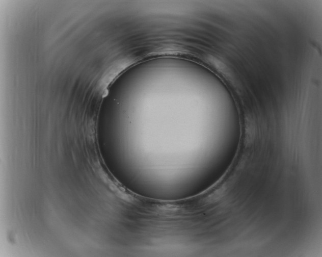 X0000103501329200809191936