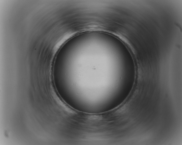 X0000103501333200809191936