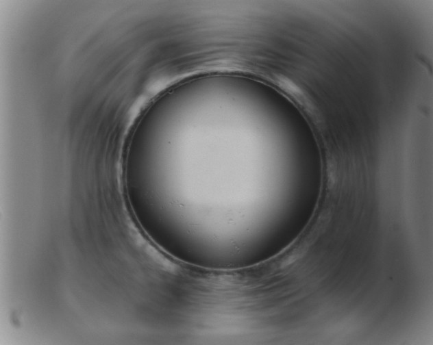 X0000103501334200809191936