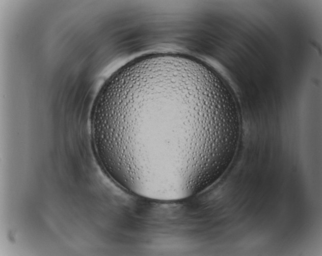 X0000103501335200809191936