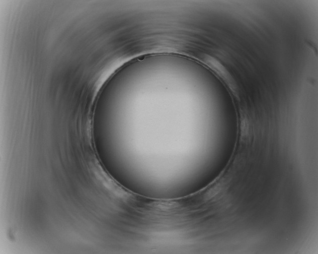 X0000103501340200809191937